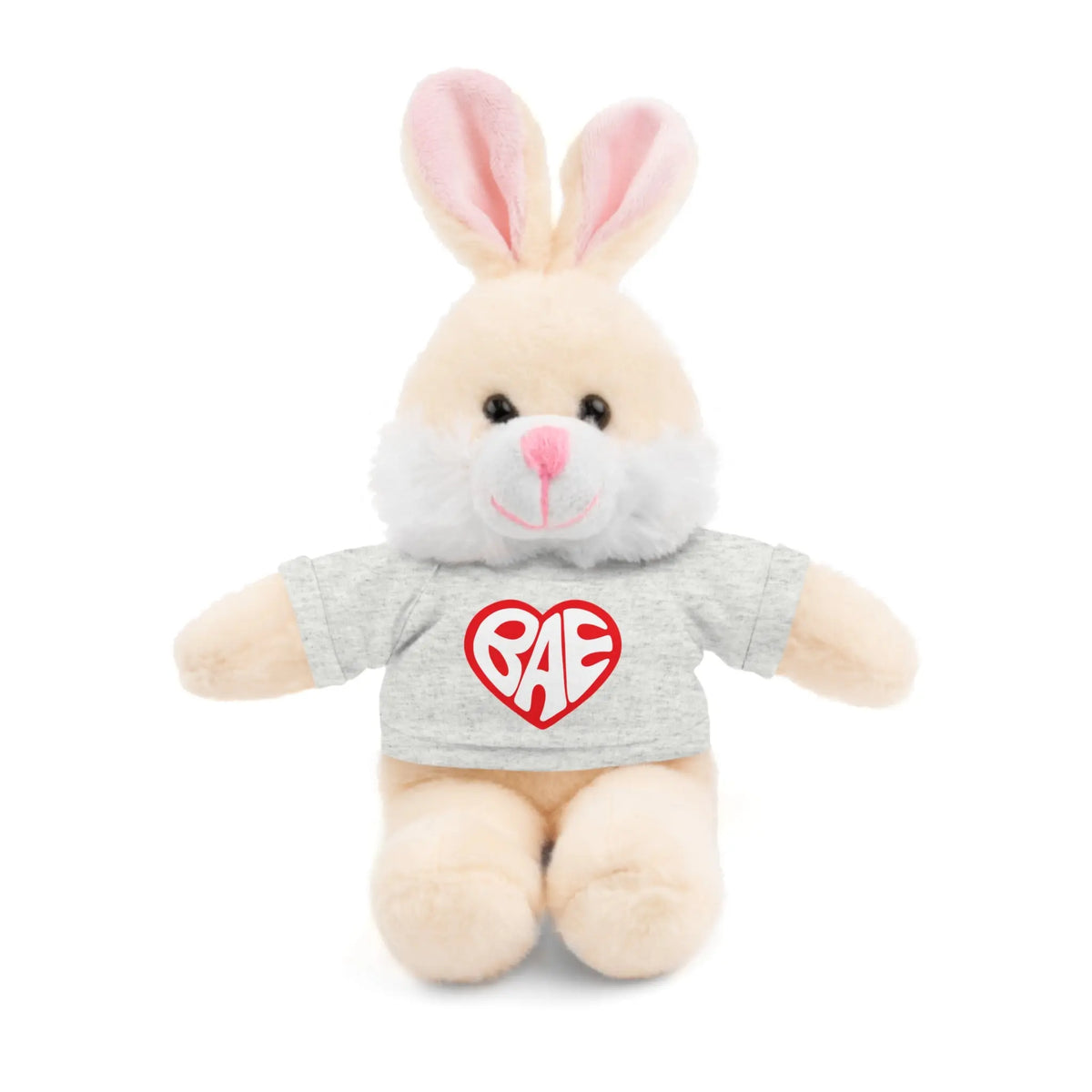 Adorable 'BAE' Stuffed Animal Teddy Bear - Perfect Gift for Loved Ones | Graphic Jaw